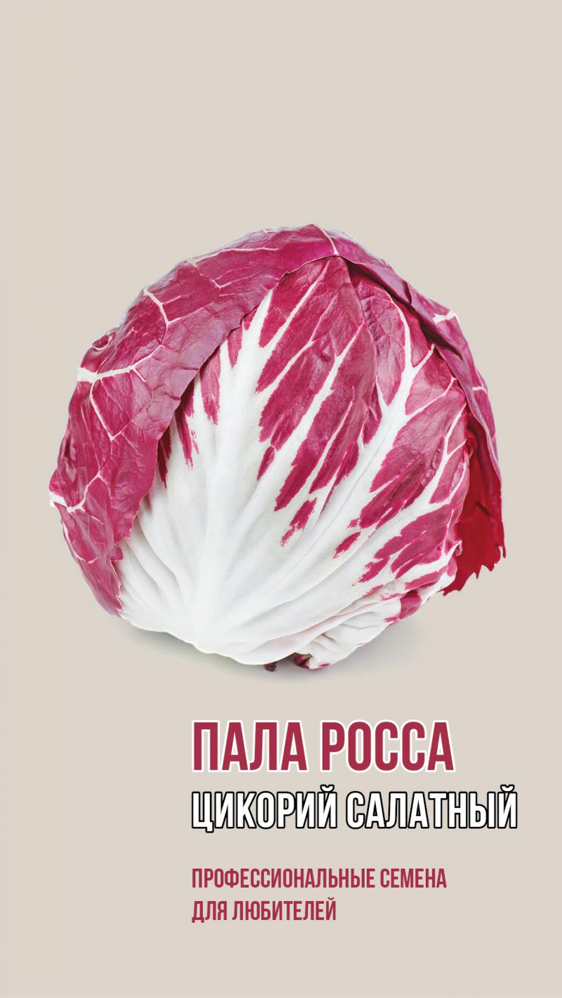 Цикорный салат ПАЛА РОССА 0,5г 1861