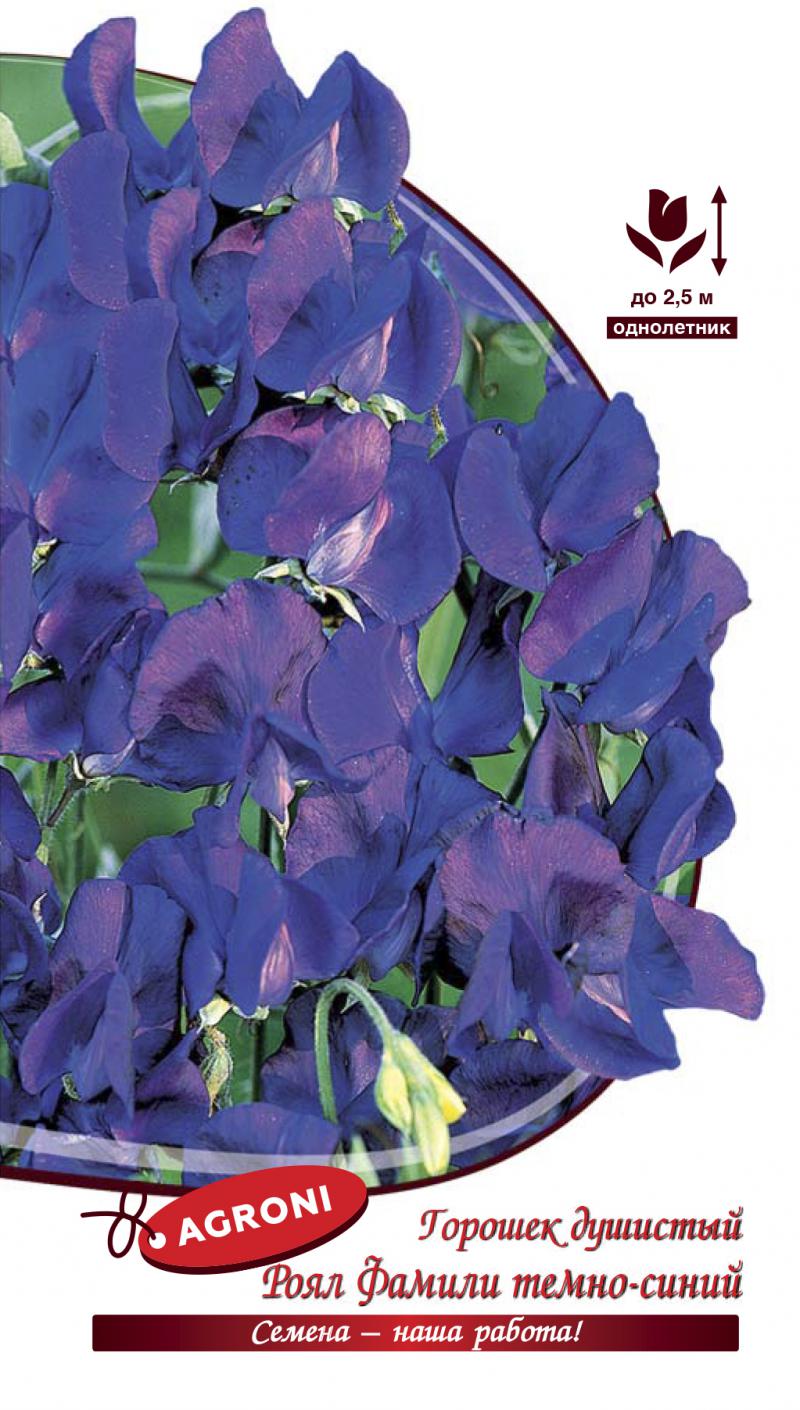 Душистый горошек Роял фэмели темно-синий (1,0г) 7958