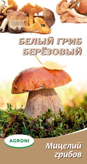 Мицелий грибов Белый гриб берёзовый 3698