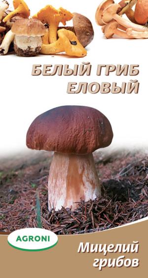Мицелий грибов Белый гриб еловый 3704
