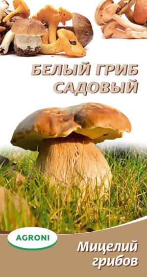 Мицелий грибов Белый гриб садовый 3711