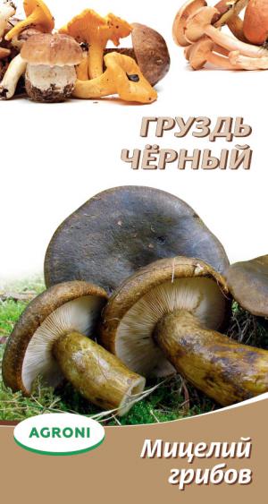Мицелий грибов Груздь чёрный 3728