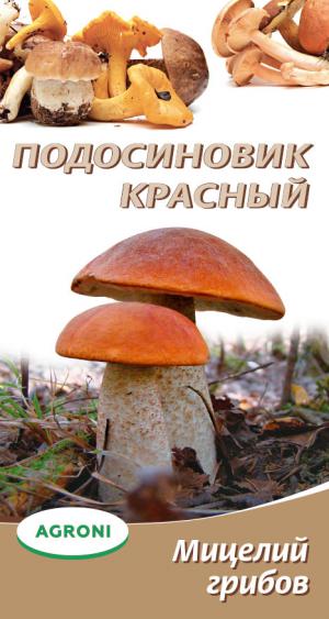 Мицелий грибов Подосиновик красный 3773