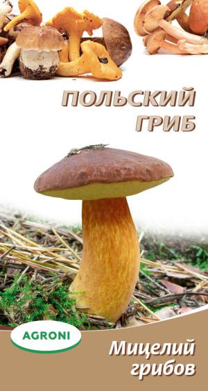 Мицелий грибов Польский гриб 3780