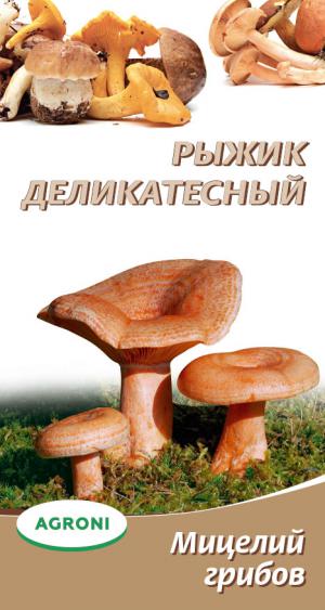 Мицелий грибов Рыжик деликатесный 3797