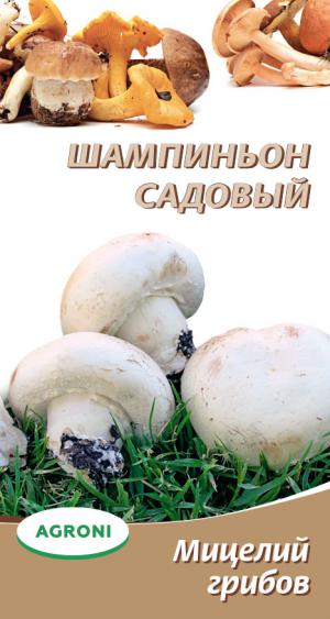 Мицелий грибов Шампиньон садовый 3827