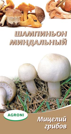 Мицелий грибов Шампиньон миндальный 3834