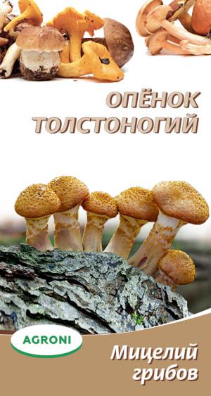 Мицелий грибов Опёнок толстоногий 3865