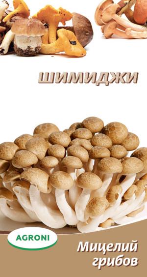 Мицелий грибов Шимиджи 3889